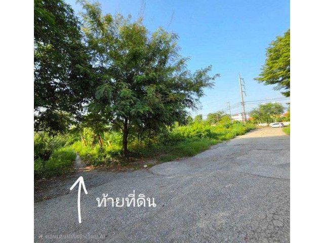 ขายที่ดินปทุมธานี แปลงมุม อำเภอเมือง ถนนปทุมธานีสายใน