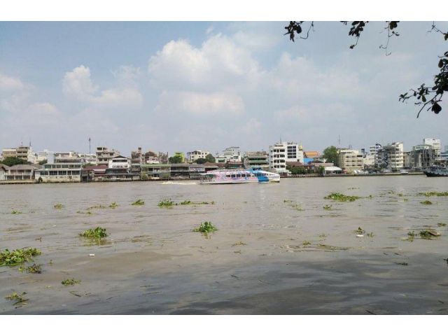 ที่ดินติดแม่น้ำเจ้าพระยาคลองสานใกล้ล้ง1919, Icon siam
