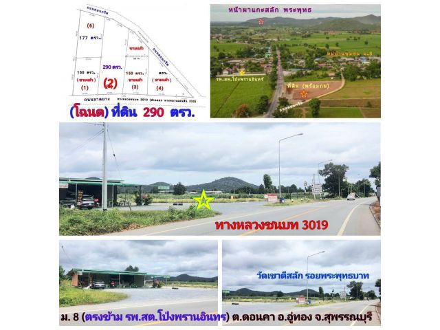 ขาย (โฉนด) ที่ดิน 290 ตรว.ๆละ 3,500 บ. (หน้าติดทางหลวงชนบท 3019 หลังติดถนนคอนกรีต) ใกล้ รพ.สต.โป่งพรานอินทร์ ม.8 ต.ดอนคา อ.อู่ทอง 8 กม. จ.สุพรรณบุรี