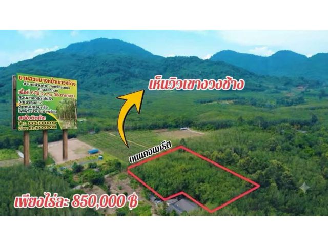 ขาย: 850,000 บาท / ไร่ (ฟรีโอน!) ขายสวนยางพาราวิวเขางวงช้างสวยๆต.ชากบกอ.บ้านค่ายจ.ระยอง เนื้อที่ดิน: 5 ไร่ 2 งาน