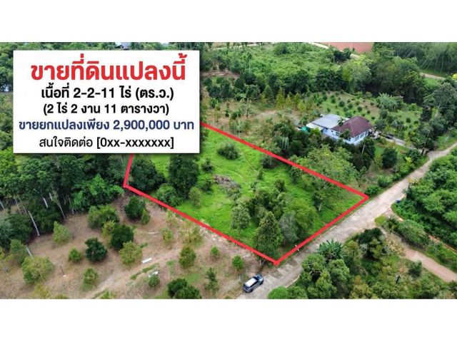 ขายที่ดินทำเลดี ต.ชากพง อ.แกลง จ.ระยอง ใกล้สุขุมวิทเพียง 500 เมตร! มองหาที่ดินปลูกบ้านพักตากอากาศ หรือลงทุนสวนผลไม้