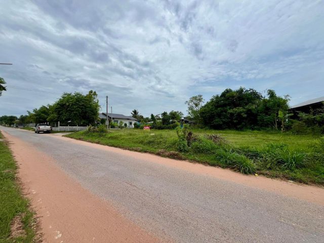 ขายที่ดิน ติดถนนดำ 96 ตรว. 390,000.-