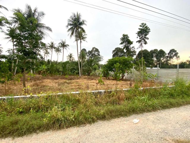 ขายที่ดินติดถนน ใกล้โรงเรียน ใกล้331