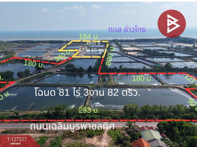 ที่ดินติดทะเล เนื้อที่ 81 ไร่ 3 งาน 82 ตร.วา นายายอาม จันทบุรี ลดพิเศษ