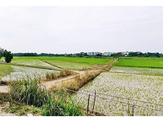 ที่ดิน2.5แสนต่อไร่ รวม3ไร่กว่า 8.8แสนบาท ใกล้บ้านเอื้ออาทรพิจิตร สถานีรถไฟพิจิตร อ.เมือง พิจิตร T o86-3ol-6l6l โฉนดพร้อม