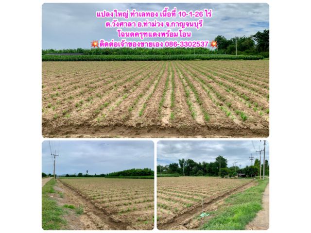 ที่ดินผืนใหญ่ทำเลดี10ไร่ โฉนดครุฑแดงพร้อมโอน ใกล้เทศบาลวังศาลา ท่าม่วง เข้าออกได้หลายทาง ติดถนนสาธารณะ ใกล้ทางด่วนM81