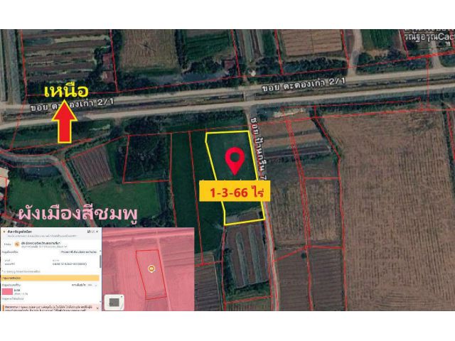 ขายที่ดินแปลงสวย ติดถนน 2 ด้าน ใกล้ถนนบายพาสโคราช ตำบลหนองจะบก อำเภอเมืองนครราชสีมา