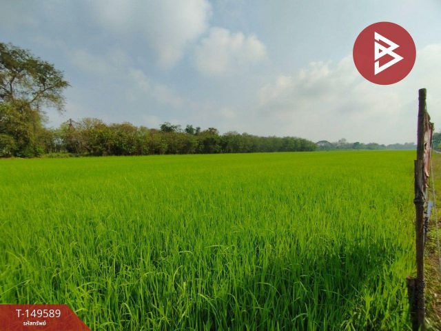 ขายที่ดิน เนื้อที่ 1 ไร่ หนองเสือ คลองสิบ ปทุมธานี
