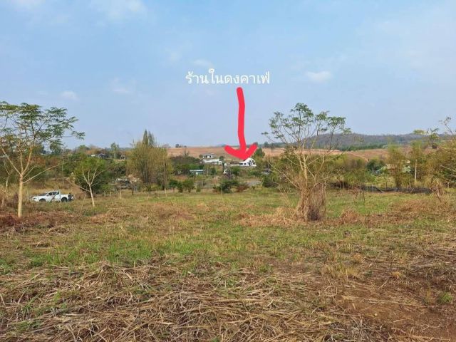 ขายที่ดินวังน้ำเขียวริมเขานอกเขตอุทยาน 5 ไร่