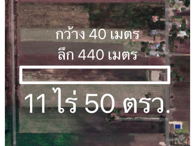 ขายที่ดินด่วน เจ้าของขายเอง 11ไร่ 50ตรว.