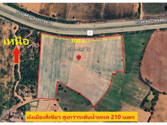 ขายที่ดินติดถนน 24 ตำบลโคกไทย อำเภอปักธงชัย จังหวัดนครราชสีมา