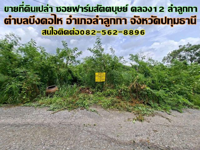 ขายที่ดินเปล่า ซอยฟาร์มสัตตบุษย์ คลอง12 ลำลูกกา