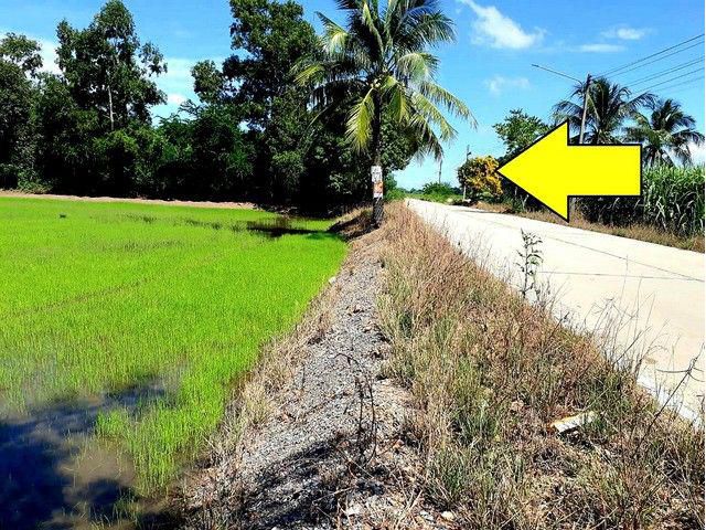 ขายที่ดินคลอง 12 ลำลูกกา 7 ไร่ ติดถนนคอนกรีต เหมาะทำโครงการหมู่บ้านเล็กๆ ทำจัดสรรที่ดินแบ่งขาย ทำโกดัง-ออฟฟิศ ซื้อเก็บไว