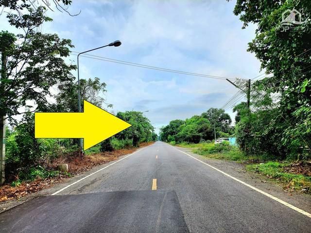 ขายที่ดินติดถนนเรียบคลอง 11 หนองเสือ 89 ไร่ เหมาะทำจัดสรรที่ดินแบ่งขายได้ ทำโครงการบ้านสวน ทำการเกษตร-ทำนา-ทำสวน ซื้อเก็