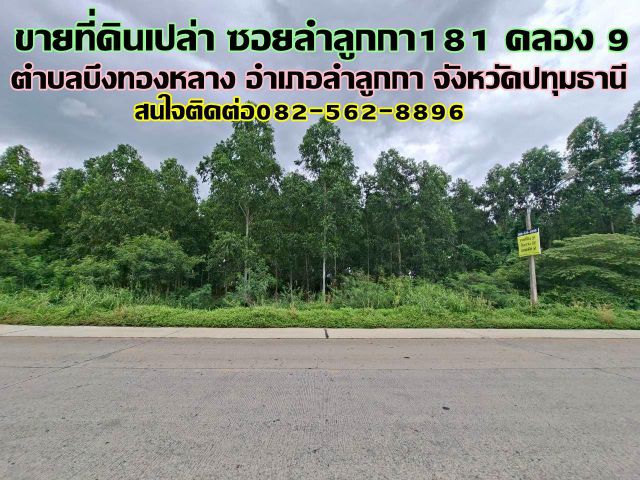 ขายที่ดินเปล่า ซอยลำลูกกา181 คลอง9