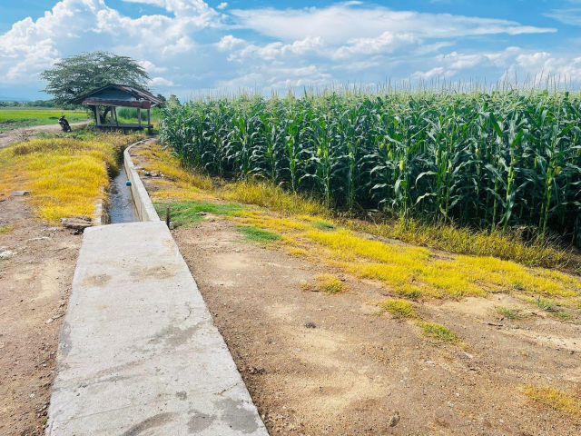 ที่ดินติดคลองชลประทาน ดินดี น้ำดี มีน้ำสมบูรณ์ตลอดปี จำนวน 4 ไร่