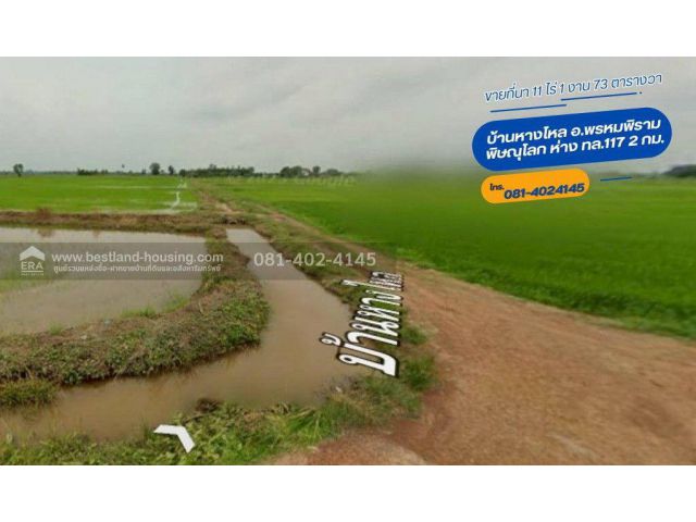ขายที่นา 11 ไร่ บ้านหางไหล อ.พรหมพิราม พิษณุโลก ห่าง ทล.117-2 กม.