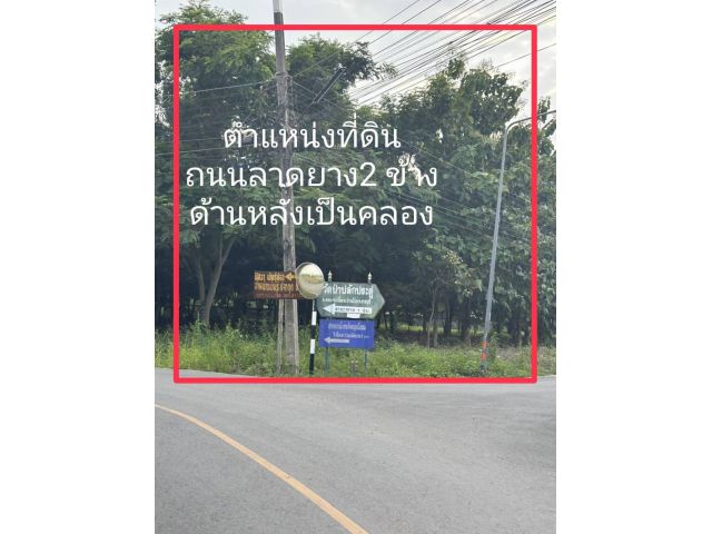 ขายด่วน! ที่ดินแปลงมุมสวย 2 ไร่ 3 งาน 23 ตร.ว. ต.หนองอ้อ อ.บ้านโป่ง จ.ราชบุรี ติดถนน 2 ด้าน ติดลำคลอง ร่มรื่น ทำเลดีมาก