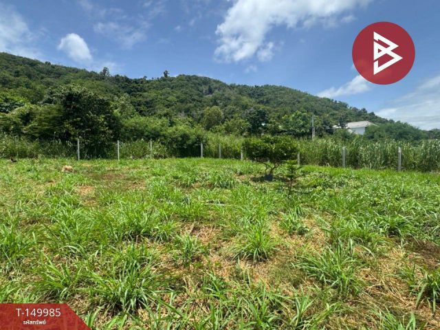 ขายที่ดิน เนื้อที่ 54 ตร.วา เขาหมอน-สัตหีบ ชลบุรี