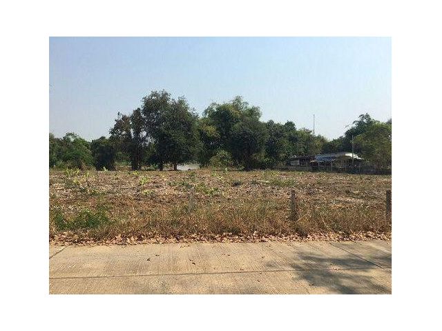ขายที่ดิน 742 ตรว. ต.เดิมบาง อ.เดิมบางนางบวช จ.สุพรรณบุรี