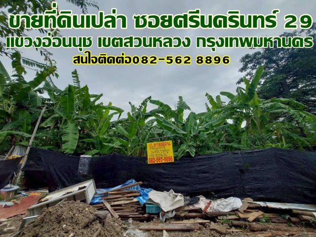 ขายที่ดินเปล่า ซอยศรีนครินทร์ 29 สวนหลวง กรุงเทพมหานคร