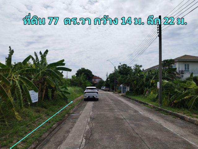 ขายที่ดินเปล่า 77 ตร.วา ม.ชัยพฤกษ์ 1 สุวินทวงศ์ เจ้าของขายเอง ขายต่ำกว่าราคาประเมิน
