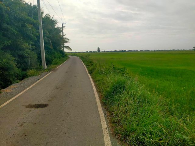 ขายที่ดิน ที่นา 266-ไร่ ไร่ละ195000-อ.บางปลาม้า จ.สุพรรฯติดถนนลาดยาง+คลองดิน.ใก้ลทางหลวง340.ขายถูกสุดๆ