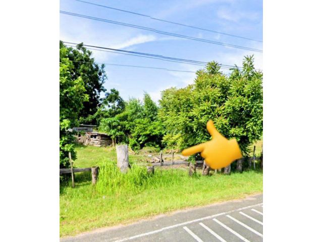 ที่ดินอยู่อาศัย ขนาด 2 ไร่เต็ม อ.เมือง บุรีรัมย์