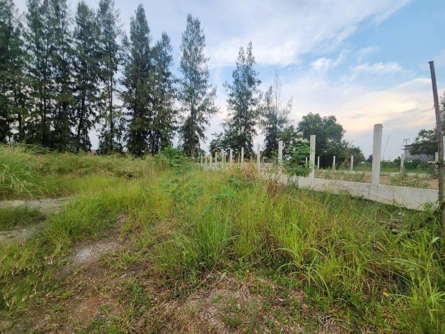ขายที่ดิน 124 ตรว. ซอยคลองสาม 9/5 ติดวัดพระธรรมกาย (ประตู 11) คลองสอง จ.ปทุมธานี