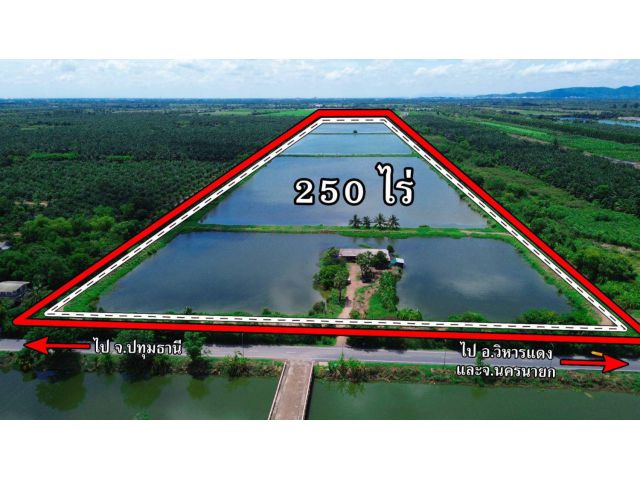 ขายที่ดิน 250 ไร่ ตำบลหนองหมู อำเภอวิหารแดง จังหวัดสระบุรี ที่ดินแปลงใหญ่ เหมาะทำการเกษตรและลงทุน