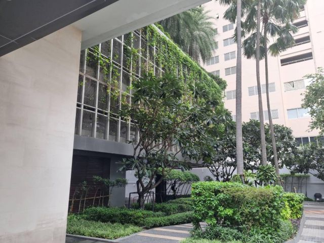 Rare Green View in Asoke | The Room Sukhumvit 21 คอนโดใจกลางเมือง ที่ให้บรรยากาศสงบและเป็นส่วนตัว…ราวกับอยู่บ้านเดี่ยว