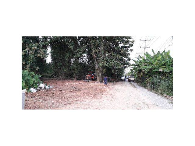 ขายที่ดิน 100 ตรว. ใกล้โลตัสพิษนุโลก ต.วัดจันทร์ตะวันตก อ.เมือง จ.พิษณุโลก