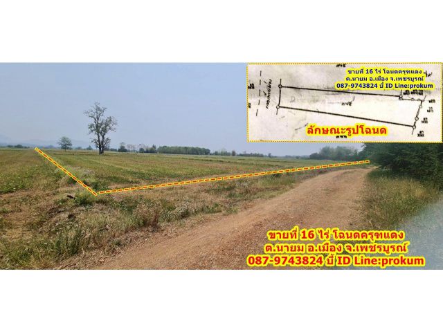 ขายที่นา 16 ไร่ติดคลองน้ำ