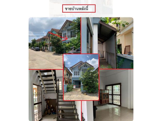 ขายบ้านเดี่ยว 2 ชั้น ม.เต็มศิริ พาร์ค 2 ถ.มิตรไมตรี หนองจอก ขนาด 36 ตารางวา มี 3 ห้องนอน 2 ห้องน้ำ ปรับปรุงใหม่พร้อมอย