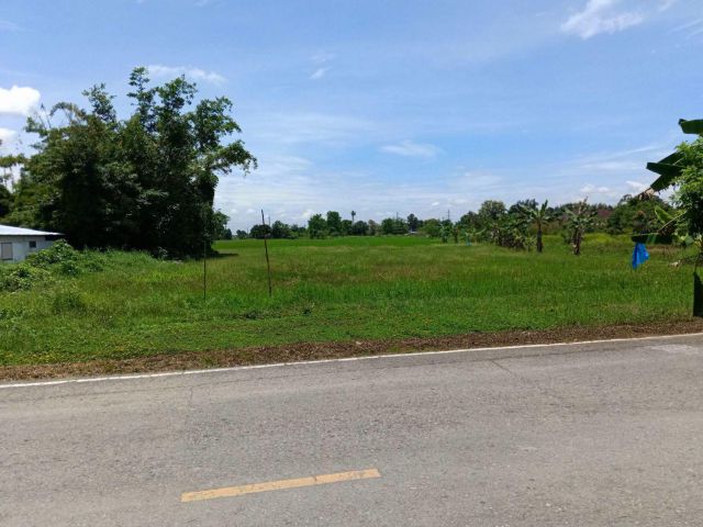 ขายที่ดินติดถนนตำบลหนองหารสันทรายห่างโรงพยาบาล 900เมตร
