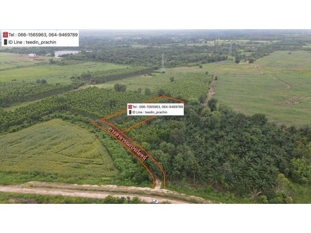 ขายที่สวน ที่สวนปาล์ม ที่เกษตร ที่ดิน ใกล้คลองชลประทาน เขต ต.บ้านา