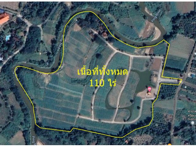 LAA061 - Land for Sale with Resort, 107.5 Rai (Over 1 km of Ping River frontage, Cho Lae Subdistrict, Mae Taeng District, Chiang Mai)