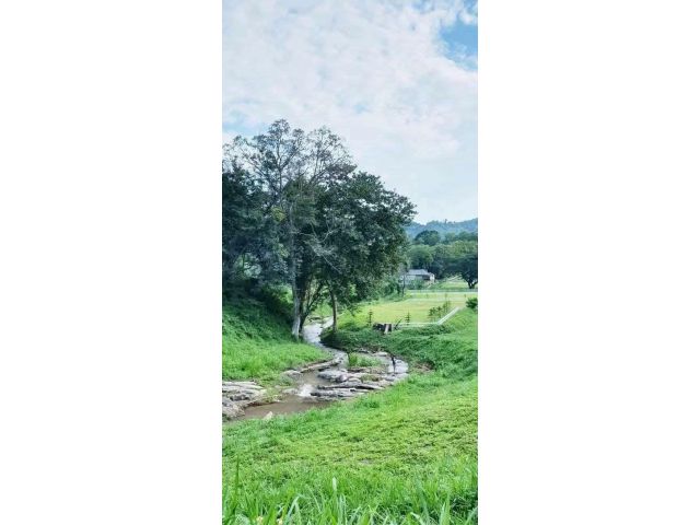 ขายที่ดินติดน้ำท่าช้างบ้านปงหางดงโฉนดพร้อมโอน
