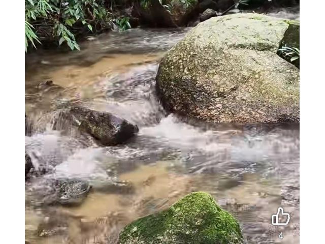 ขายที่ดินติดน้ำตกแม่ออนเอกสาร สค 1 ราคาถูก