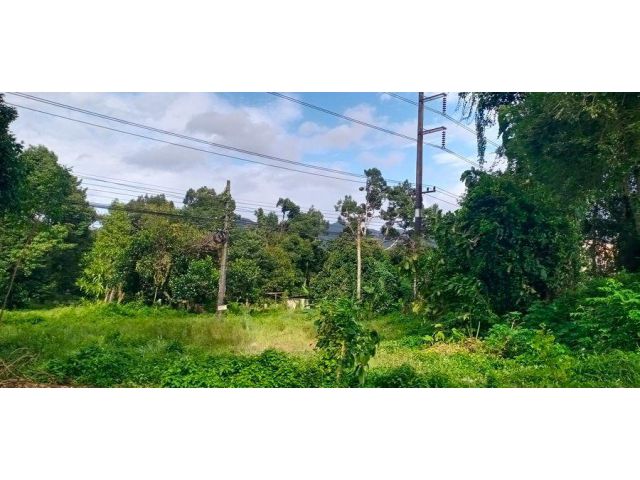 !ทำเลที่ดินติดถนนใหญ่ ถนนสุขุมวิท 4 เลน คลองนารายณ์! เสนอขายสวนผลไม้ผสมทุเรียน-มังคุด เนื้อที่ 2 ไร่ ตำบลคลองนารายณ์ อำเ