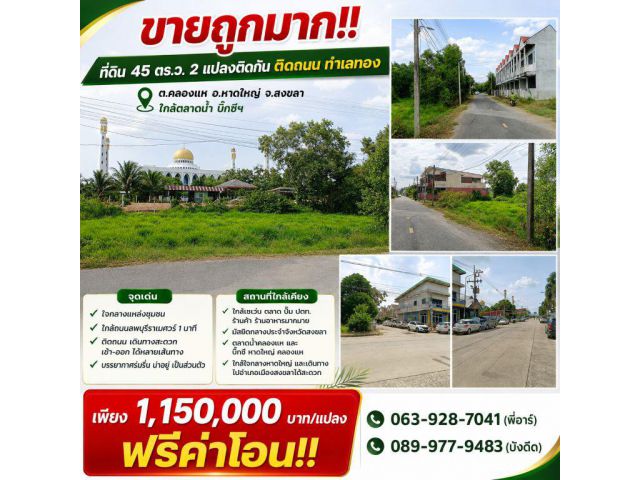 ขายถูกมาก!! ที่ดิน 45 ตร.ว. 2 แปลงติดกัน ติดถนน ทำเลทอง ต.คลองแห อ.หาดใหญ่ จ.สงขลา ใกล้ตลาดน้ำ บิ๊กซีฯ