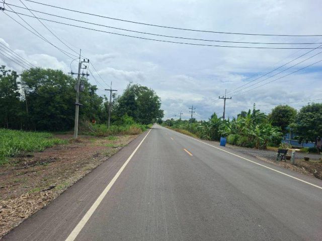 ขายที่ดิน 23 ไร่ ติดถนนสระบุรี-หล่มสัก ต.ช่องสาริกา อ.พัฒนานิคม จ.ลพบุรี