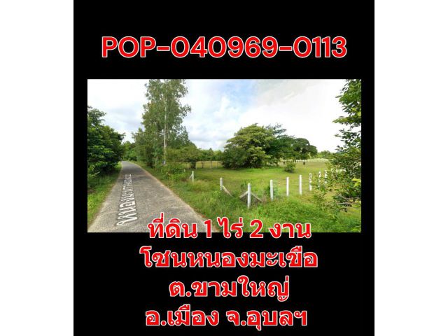 POP-040969-0113 ขายที่ดิน 1 ไร่ 2 งาน โซนหนองมะเขือ ต.ขามใหญ่ อ.เมือง จ.อุบลฯ