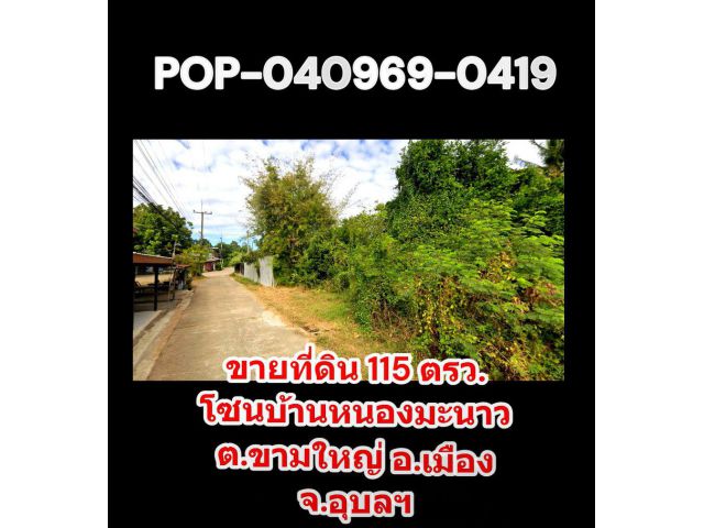 POP-040969-0419 ขายที่ดิน 115 ตรว. โซนบ้านหนองมะนาว ต.ขามใหญ่ อ.เมือง จ.อุบลฯ