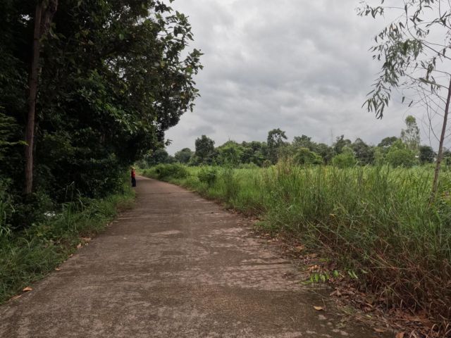 ที่ดอนบ้านคอนสาย  ยโสธร