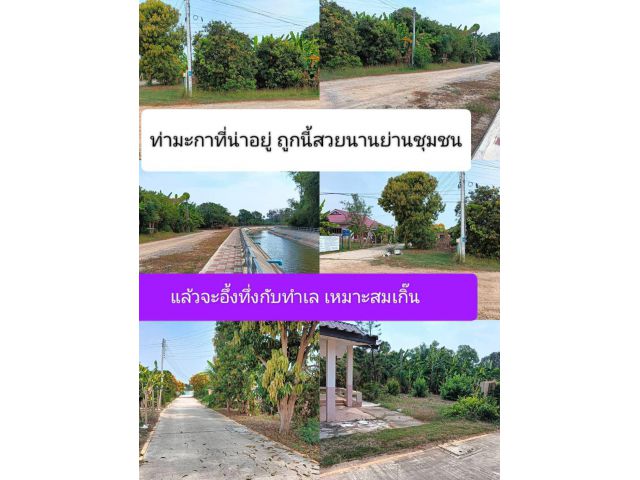 เหมาะสมที่สุดกับแปลงเล็กย่านชุมชนเทศบาลท่ามะกา ด้วยราคาท้าพิสูจน์กับย่านที่ควรอยู่ เจริญประหยัดคุณสมบัติเข้าตาแน่นอน