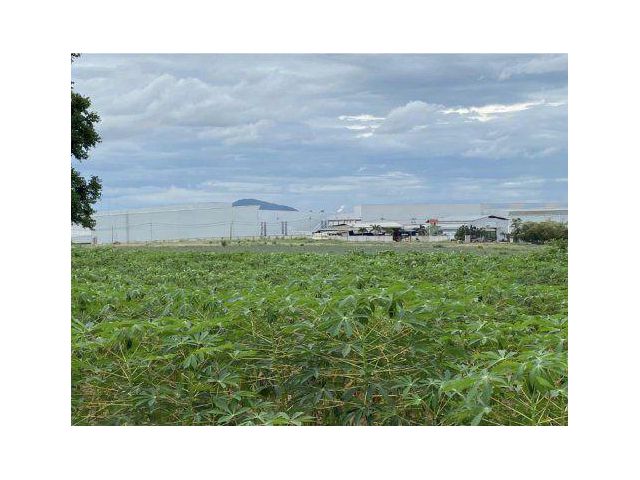ขายที่ดิน 24 ไร่ ผังสีม่วงลาย ต.เขาคันทรง อ.ศรีราชา จ.ชลบุรี