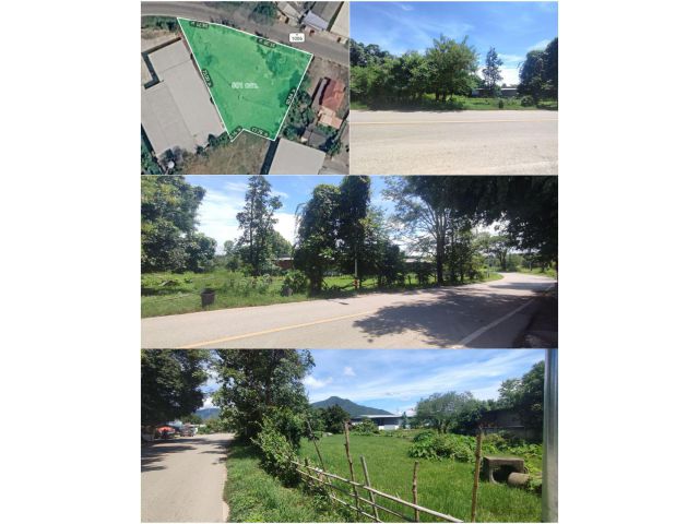 +++ ขายที่ดิน 1ไร่2งาน ต.ร้องวัวแดง อ.สันกำแพง จ.เชียงใหม่