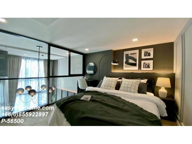 P-56500 ให้เช่า Modiz Sukhumvit 50 (โมดิซ สุขุมวิท 50) | 1 ห้องนอน 1 ห้องน้ำ | Exclusive Vertical Suite เพดานสูง