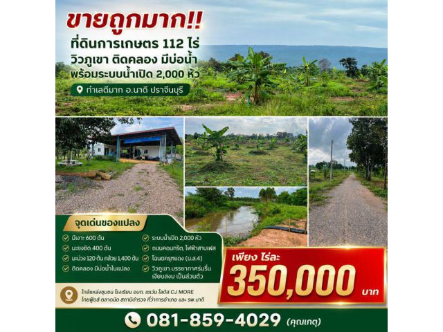 ขายถูกมาก!! ที่ดินการเกษตร 112 ไร่ วิวภูเขา ติดคลอง มีบ่อน้ำ พร้อมระบบน้ำเปิด 2,000 หัว ทำเลดีมาก อ.นาดี ปราจีนบุรี